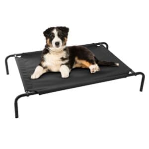 Elevated Pet Bed L