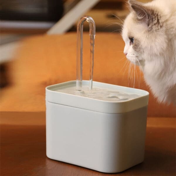 USB Electric Cat Water Fountain 1.5L White Blue Navy Blue US Plug - White US Plug