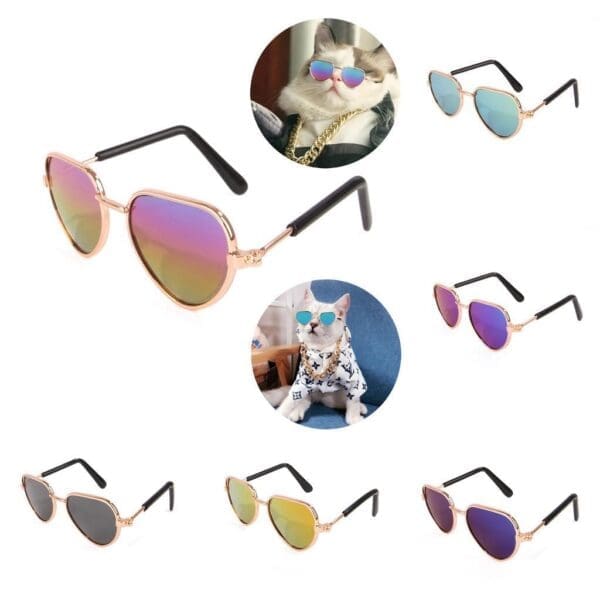 Fashionable Pet Glasses Various Colors - Image 2