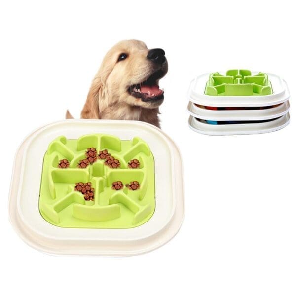 Dog-Cat Slow Feeding Bowl Green Blue Rose Red