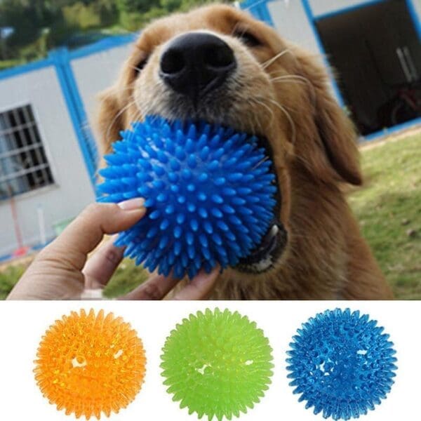 Pet Sounding Tooth Cleaning Ball S-6.5CM M-9CM Blue Green Orange - Green M-9CM