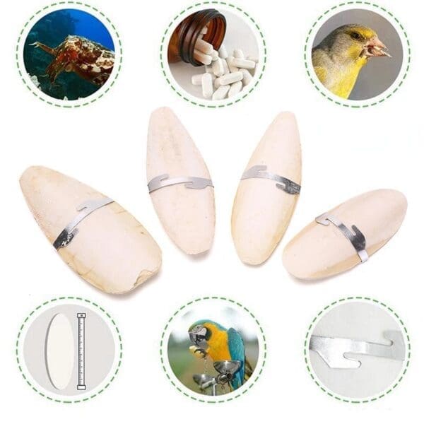 Cuttlebone Bird Food White