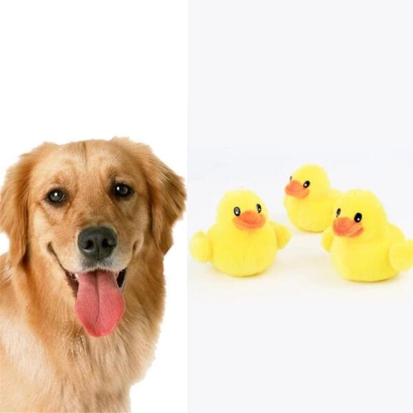 Yellow Duck Plush Dog Toy