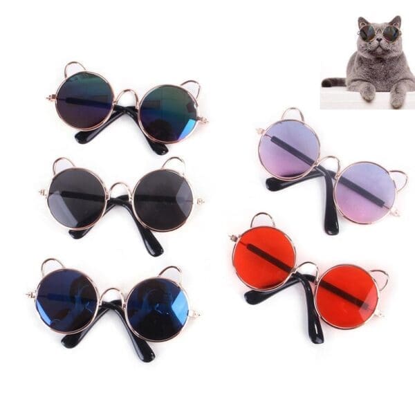 Pet Cat Glasses For Photos Red Multicolor Yellow Blue Green - Yellow