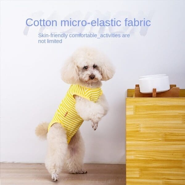 Little Dog Striped Belly Protection Clothes Multiple Sizes and Colors - Striped belly protector blue M the back length is 26cm.