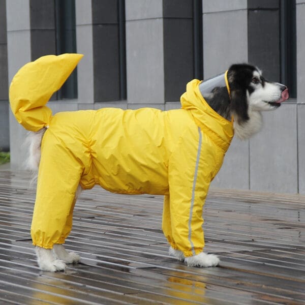 Covered Tail Dog Raincoat Lake Blue, Yellow 12XL, 8XL - Image 2