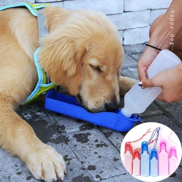 Dog Water Bottle Feeder 250ML 500ML Blue Red Pink