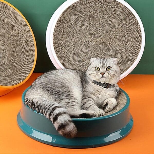 Compass Round Cat Scratching Board Green White Orange Diameter 43cm - Orange diameter 43cm