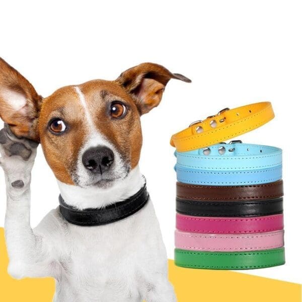 Adjustable Dog Collar Pink Black Khaki Green Yellow Blue Rose Red Red White 30cm 25cm - Yellow 30cm