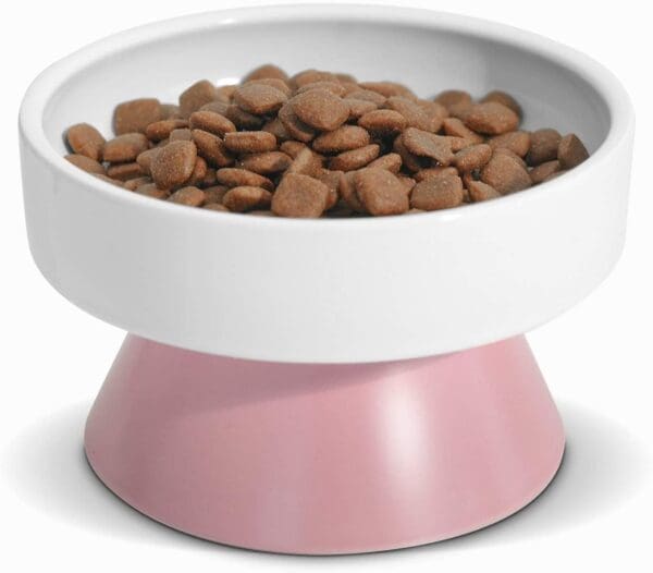 Raised Ceramic Pet Food Bowls for Spine Health Pink Purple - Pink