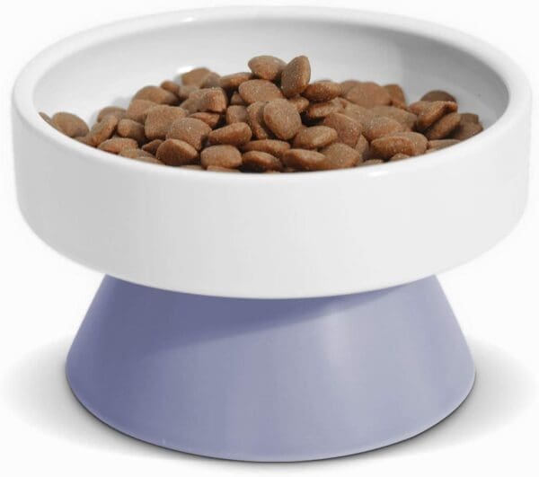 Raised Ceramic Pet Food Bowls for Spine Health Pink Purple - Purple