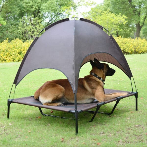 Elevated Dog Bed Tent with Canopy Large Medium Small - Medium