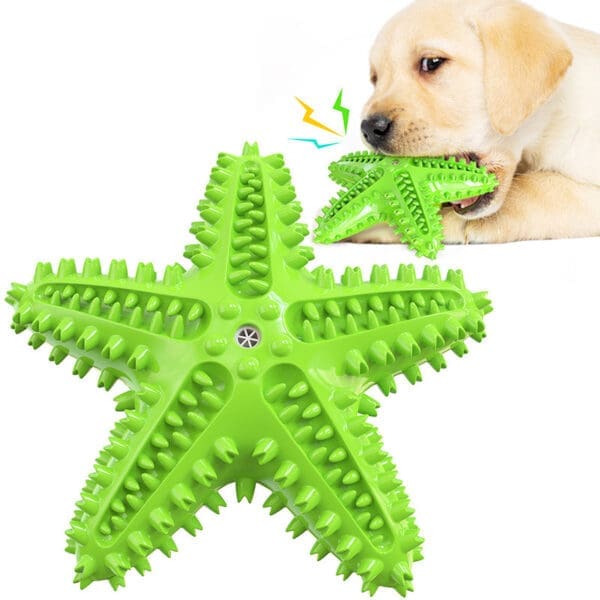 Sea Star Shaped Dog Toothbrush with Sound Various Versions CN