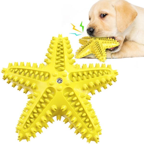 Sea Star Shaped Dog Toothbrush with Sound Various Versions CN