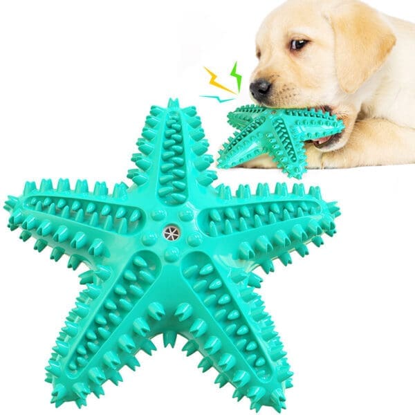 Sea Star Shaped Dog Toothbrush with Sound Various Versions CN