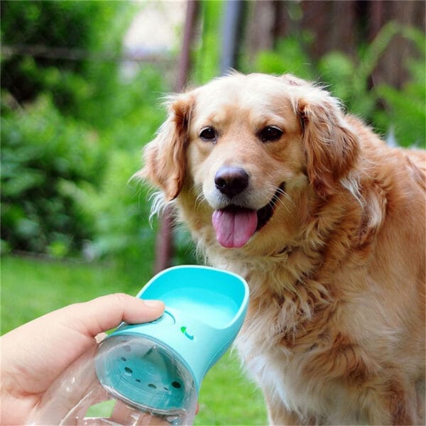 Pet Water Cup Portable Water Bottle Various Colors and Sizes - Black 550ML