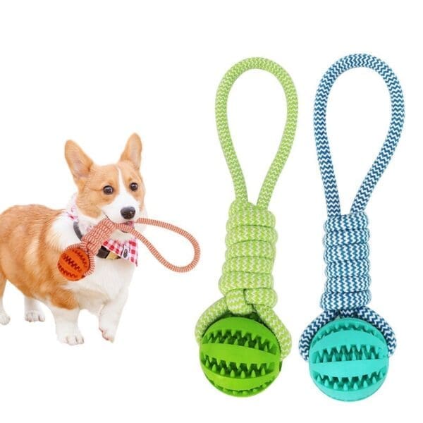 Dog Treat Balls with Hemp Rope Rubber Green Orange Blue - Green