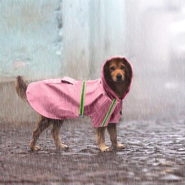 Waterproof Reflective Dog Raincoat blue pink orange - Pink