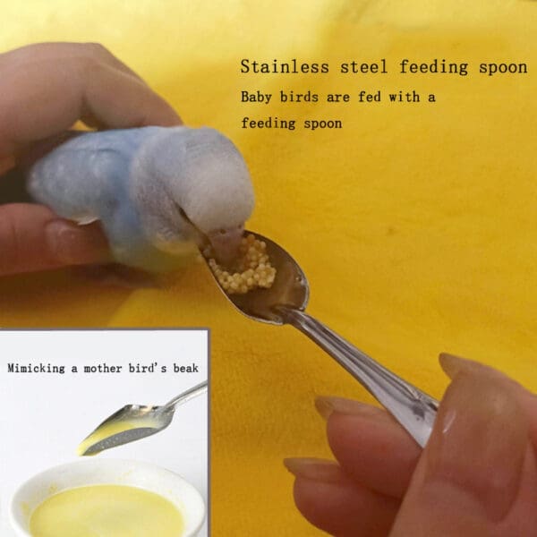 Bird Feeding Accessories Feeding Spoon Type A With Lid Plastic Beakers Thermometer Yellow Feeders Feeding Tool Set - Feeding Spoon