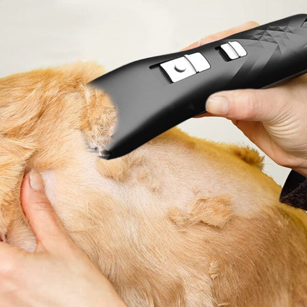 Black Pet Shaver Black