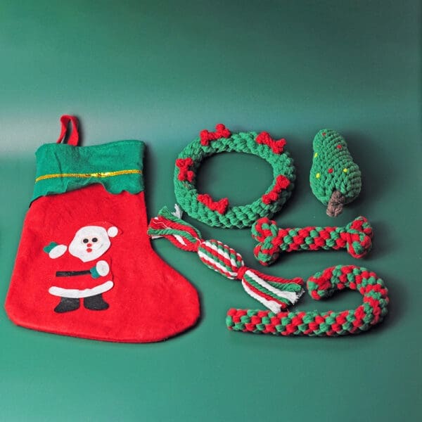 Christmas Pet Toys Set Christmas