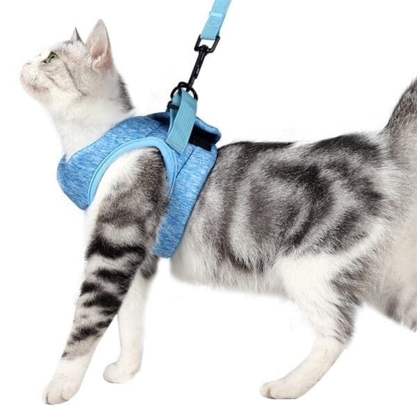 Adjustable Anti-Escape Cat Belt Blue S