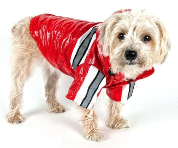 Reflecta-Glow Reflective Waterproof Pet Raincoat Medium Small X-Small - X-Small