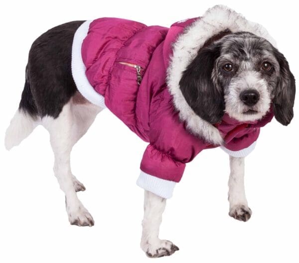 Metallic Fashion Pet Parka Coat X-Large Large Medium Small X-Small - X-Small