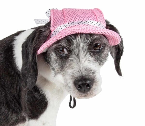 Pet Life Sea Spot Sun UV Protectant Dog Hat Black Red Pink Orange Burgundy Blue Medium Large - Pink Medium