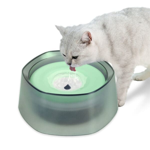 No Spill Dog Cat Water Bowl Pink Green Blue - Green