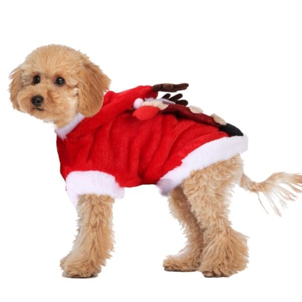 Pet Christmas Clothes Santa Claus Reindeer Costume Various Sizes - L