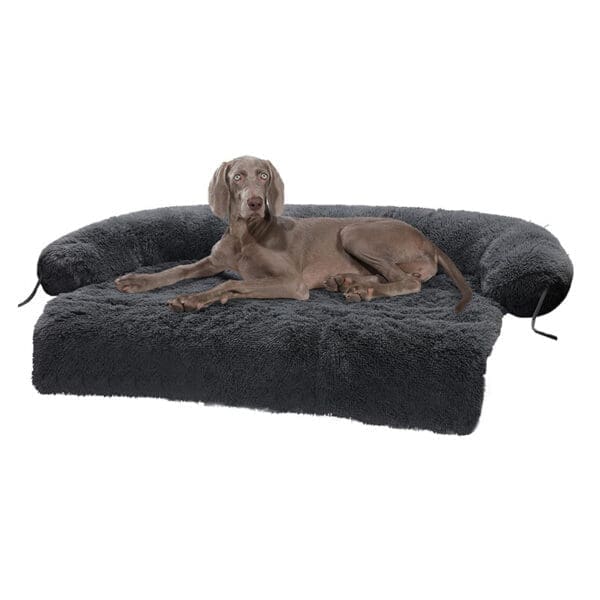 Dog Mat Furniture Protector Various Colors XL - Dark gray XL