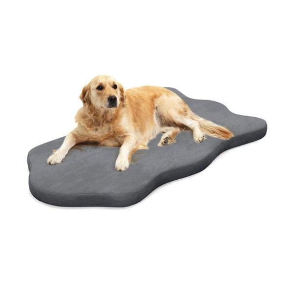 Dog Bed with Memory Foam Support Gray Beige - Gray O-S