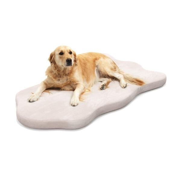 Dog Bed with Memory Foam Support Gray Beige - Beige O-S