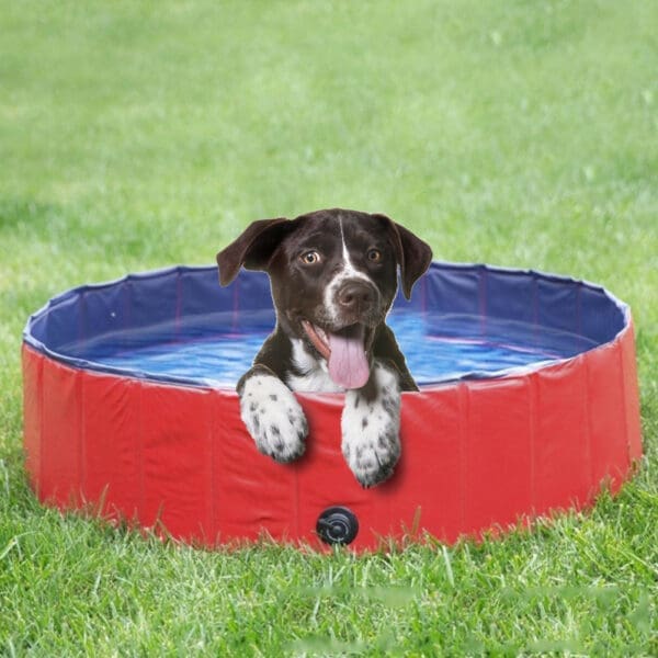 Foldable Dog Pool for Baths and Play 12030 16030 - 12030