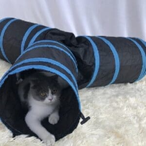 Cat 3-Way Tube Tunnels Collapsible Cat Play Tent Blue