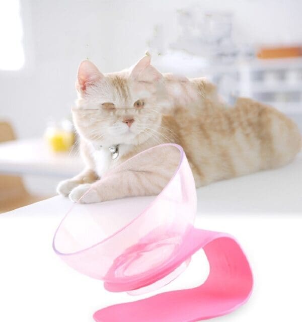 Cat Food Bowl Pet Feeding Bowl Elevated Feeder Pink