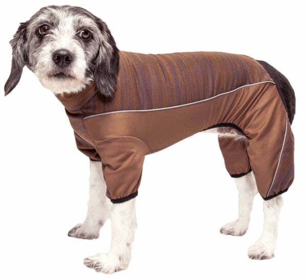 Chase Pacer Full Body Warm Up Brown X-Large