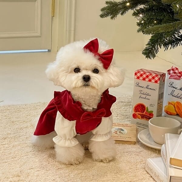 Christmas Pet Dress New Year Non-elastic Red