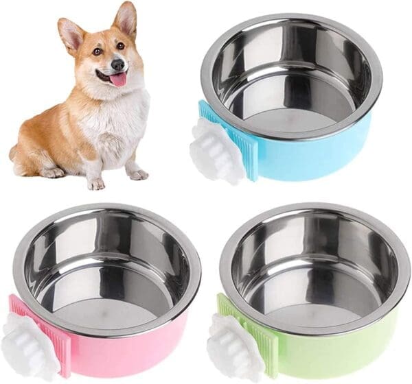 Green Crate Dog Bowl