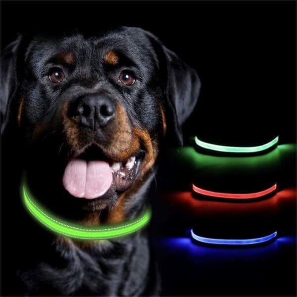 LED Blinking Flashing Dog Safety Collar Red