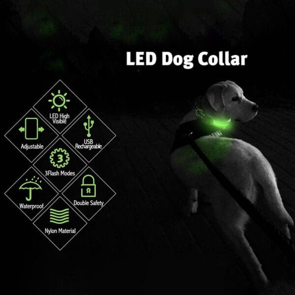 LED Blinking Flashing Dog Safety Collar Red