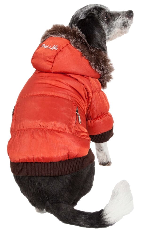 Metallic Fashion Pet Parka Coat Small