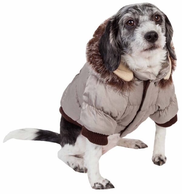 Metallic Fashion Pet Parka Coat X-Large, Large, Medium, Small, X-Small - Image 2