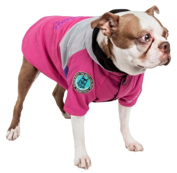 Mount Pinnacle Pet Ski Jacket X-Small