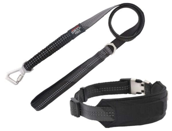 Pet Life Geo-prene Reflective Leash and Collar Black Small