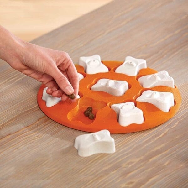 Pet Puzzle Treat Toy Orange