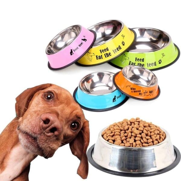 Pink Stainless Steel Pet Feeding Bowl