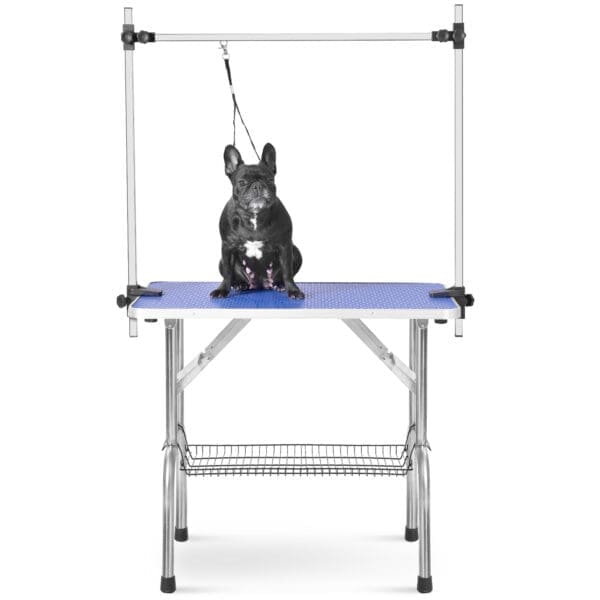 Professional Dog Grooming Table Blue