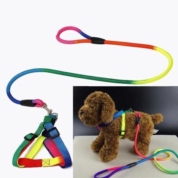 Rainbow Pet Dog Collar Harness Leash Set M